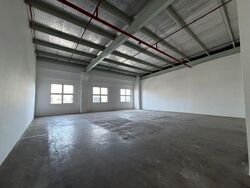 Ubi 55 (D14), Factory #523536121